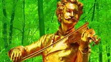 Весенние голоса. Марш Радецкого. Вальс цветов