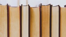 С требованием веры. Стихи Марины Цветаевой в исполнении Господина Литвиновича