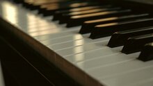 Картинки с выставки