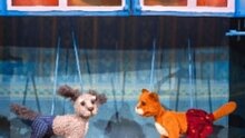 Кошечка и Пёсик