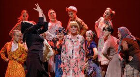 Егор Дружинин «Всюду жизнь!». Спектакль без слов