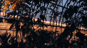 Магия свечей. Вивальди и Итальянское барокко