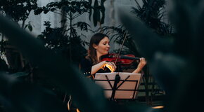 Магия свечей. Вивальди и Итальянское барокко