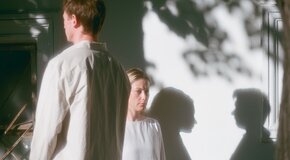 Летние осы кусают нас даже в ноябре