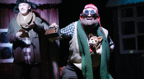 Проснись, Петсон! Или удивительное Рождество