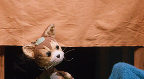 Проснись, Петсон! Или удивительное Рождество