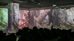 Мультимедийная выставка «Шишкин. Одинокие леса»