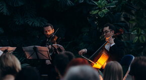 Магия свечей. Шедевры неоклассики. от Ханса Циммера до Людовико Эйнауди