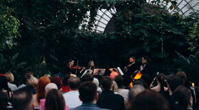 Магия свечей. Шедевры неоклассики. от Ханса Циммера до Людовико Эйнауди