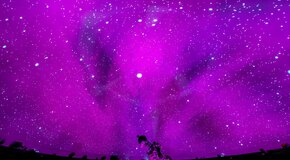 Концерт под звездами «Lana Del Rey. Tribute under stars»