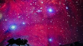 Концерт под звездами «Lana Del Rey. Tribute under stars»