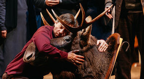 Утиная охота