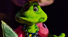 Как котенок научился мяукать