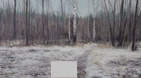 Выставки: Алексей Штерн, Егор Плотников, Александр Кожин и Семен Гуляко