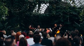 Магия Свечей. «От Баха до Beatles» в Оранжерее
