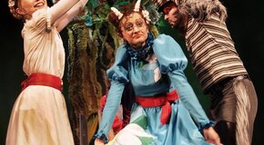 Динь-дон, я ваша мама