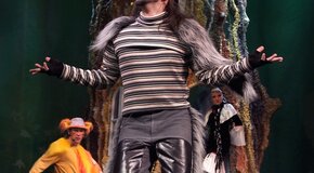 Динь-дон, я ваша мама