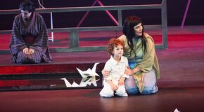 Мадам Баттерфляй