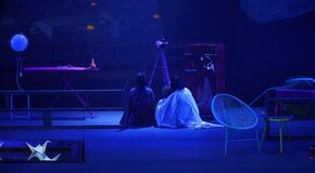 Мадам Баттерфляй