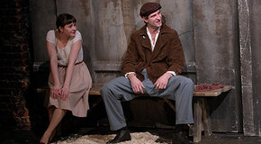 Четвероногая ворона