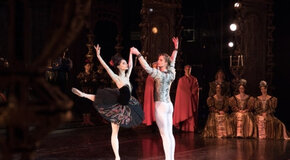 Лебединое озеро