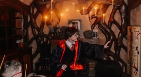 Гарри Поттер и сердце волшебника