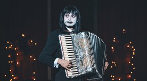 Черная кошка, белый кот