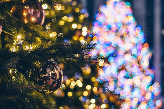 Большая рождественская елка в КЗ «У Финляндского». Сказка «Серебряное копытце»