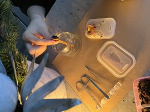 Новогодний творческий мастер-класс по изготовлению аромасаше