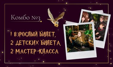 Комбо-билет № 3 в музей Гарри Поттера