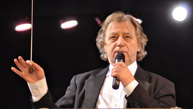 Новогодний концерт венской классики