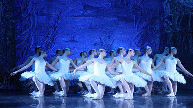 Лебединое озеро