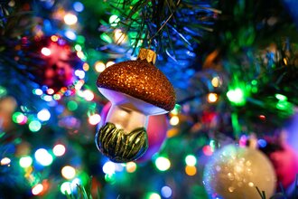 Мульти елка