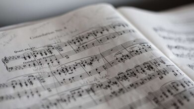Дуэт La chanson francaise
