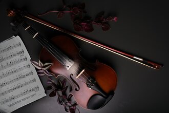 Вечер камерной музыки. Бетховен, Брамс, Шуман