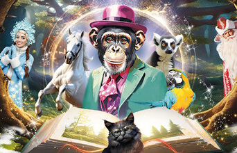 Цирк в гостях у сказки