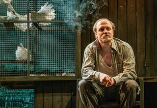 Любовь и голуби