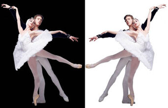 Лебединое озеро