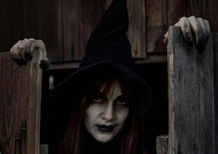 Обитель ведьм