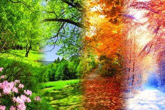 Вивальди. Времена года. Моцарт. Маленькая ночная серенада. Паганини. Кампанелла