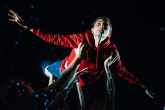 Загадочное ночное убийство собаки