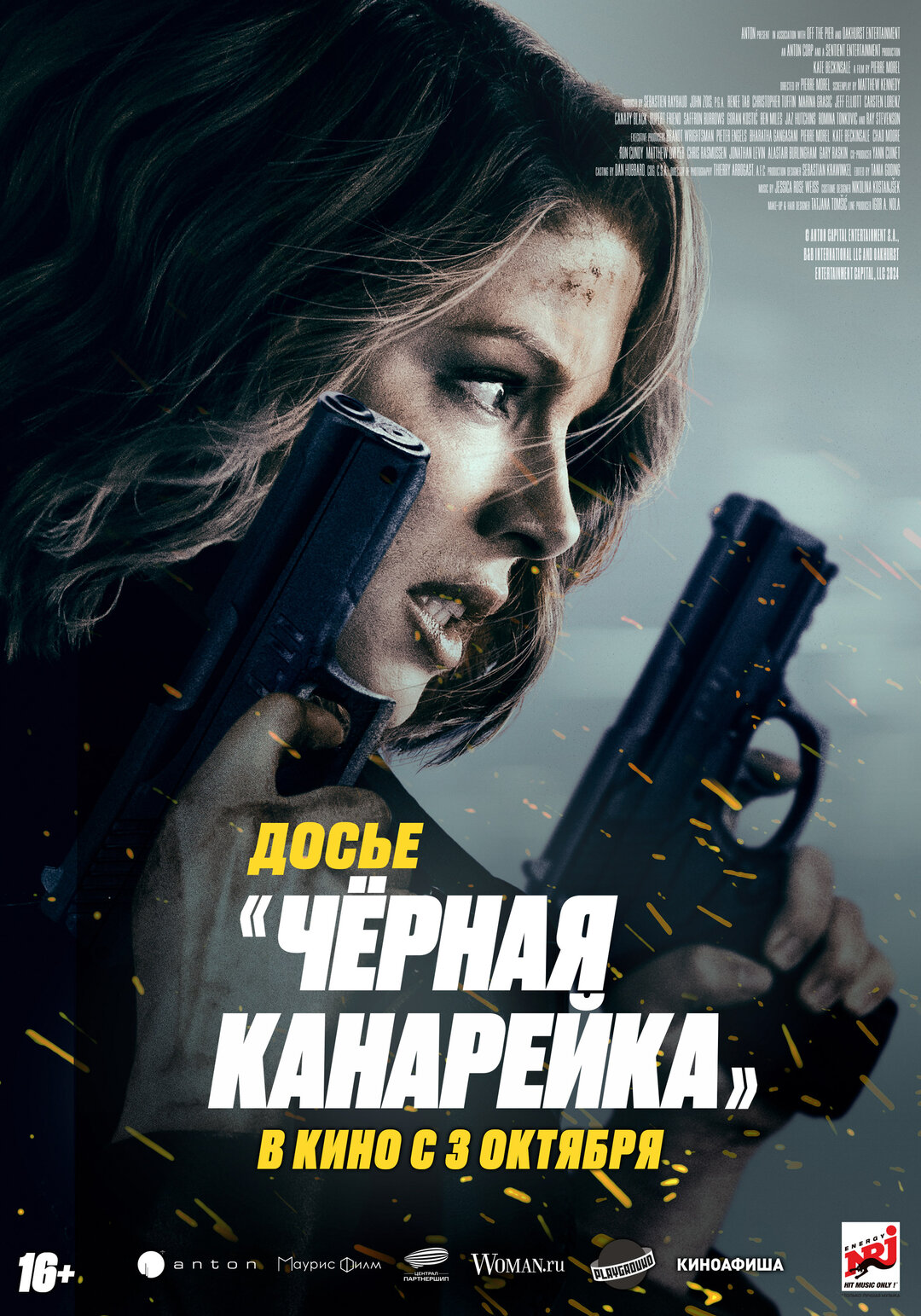Обложка к картине "Досье «Чёрная канарейка»"