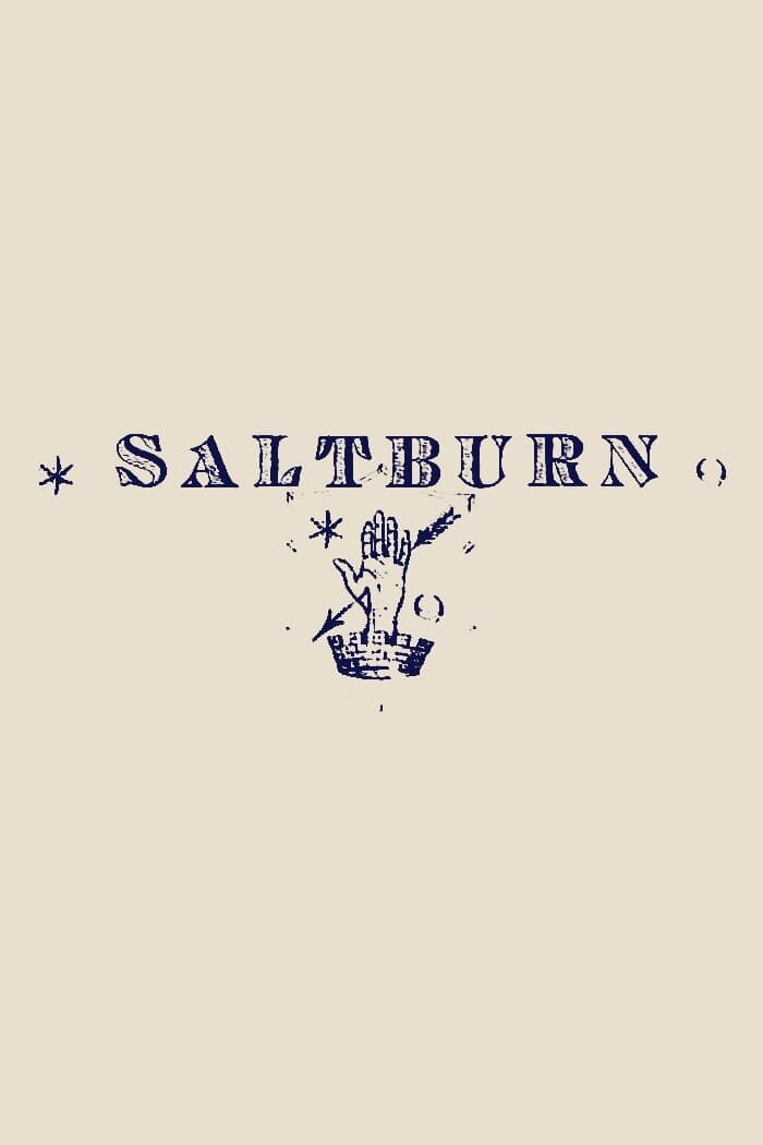 Солтберн разбор. Saltburn