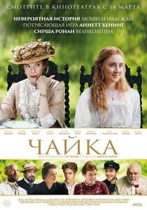 Чайка Чайка