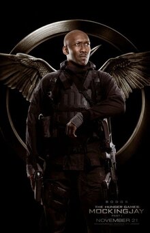 Poster of The Hunger Games: Mockingjay - Part 1