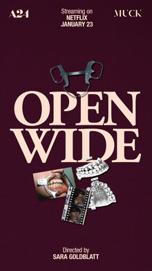 Poster of Open Wide
