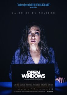 Poster of Open Windows
