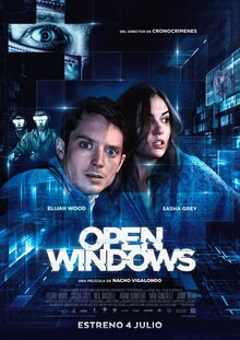 Poster of Open Windows
