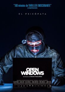 Poster of Open Windows