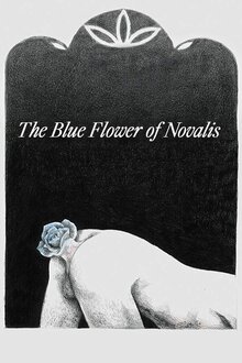 Poster of A rosa azul de Novalis / The Blue Flower of Novalis